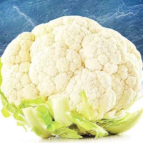 Капуста Галеон цветная 100шт